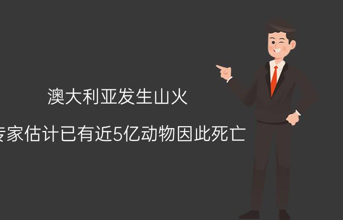 澳大利亚发生山火 专家估计已有近5亿动物因此死亡